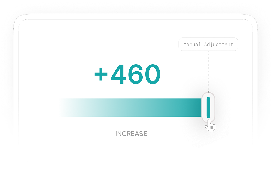 Manual adjustments interface
